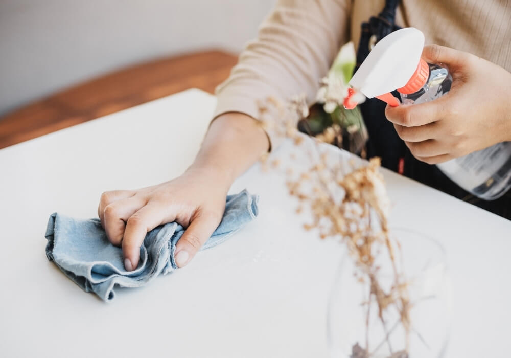 Evlere Gündelikçi Bayan Hizmeti